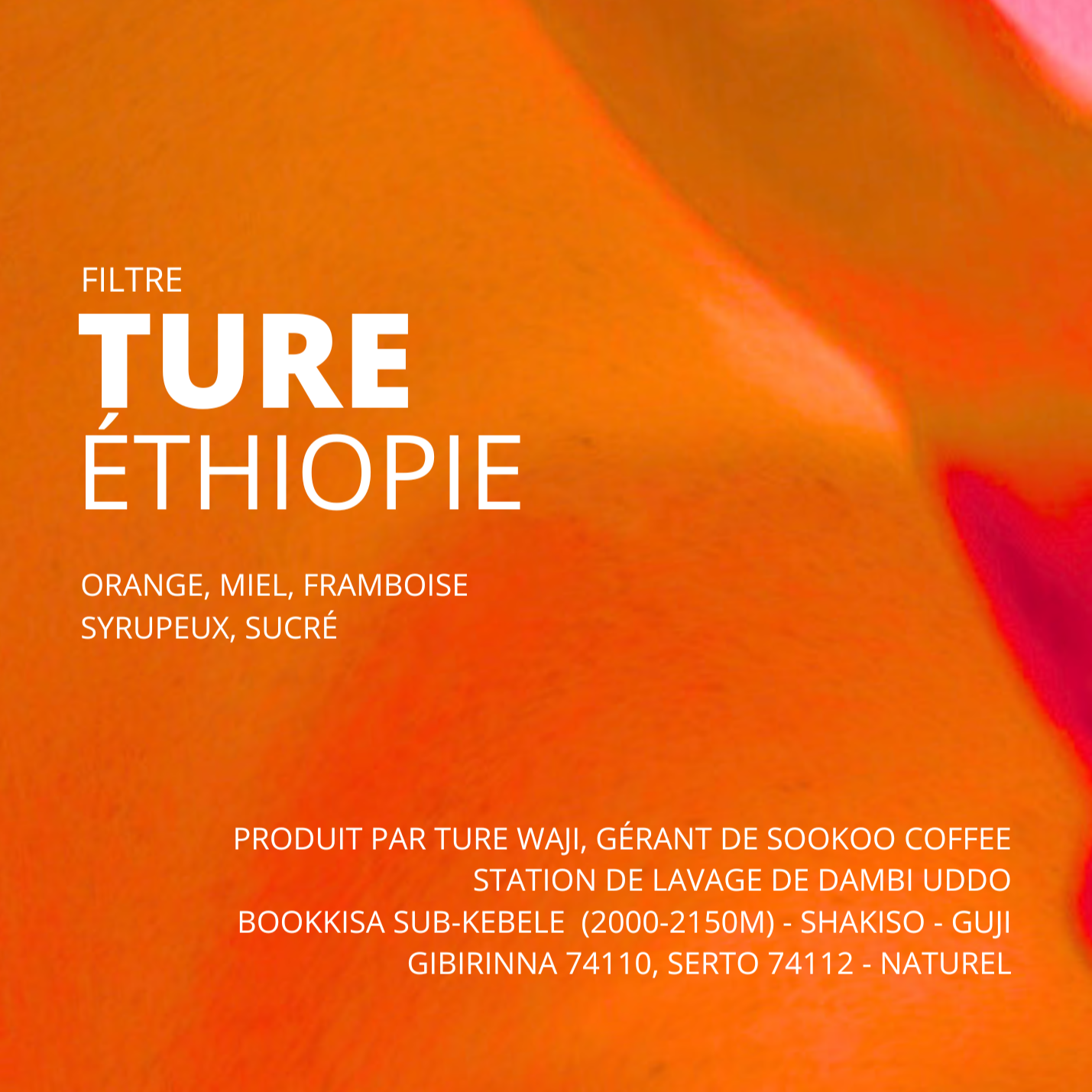 Ture - Ethiopie - Microlot